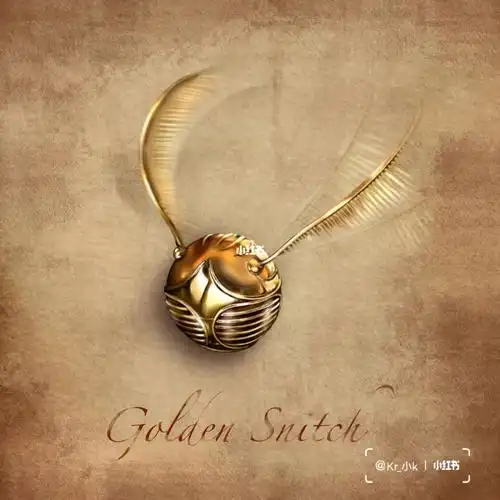 最近很迷哈利波特,就想画点相关的东西练练手嘻嘻#金色飞贼  #哈利