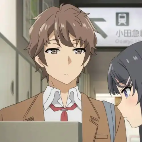 动漫情头樱岛麻衣梓川咲太