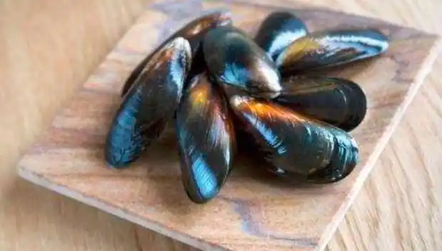 淡菜的营养价值