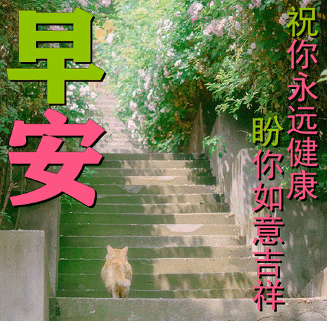 福到了,对你的关怀送到了:冬来天寒地冻,愿你添衣保暖从此幸福了早安