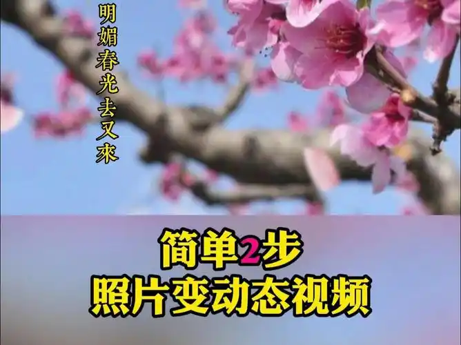简单2步 一张照片变视频,剪映教程