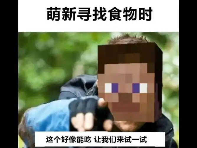 我的世界梗图(3)
