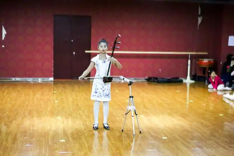 13. 二胡独奏《凤阳花鼓》   六级班  邢语函