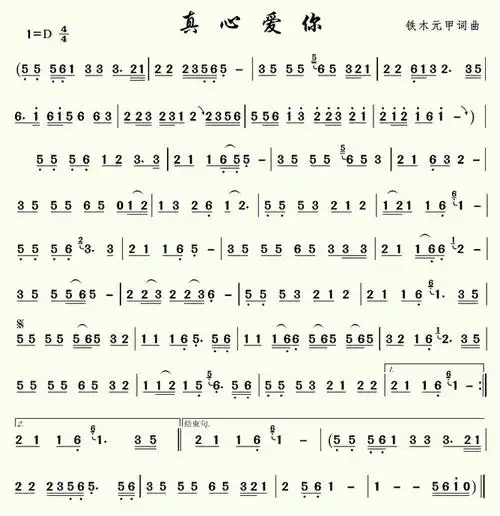 真心爱你笛子曲谱独奏简谱_民族乐器网