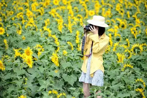 美女们徜徉花海中