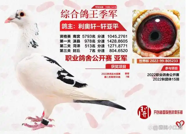 北京开创者鸽王总冠军仅拍出35万,创历史新低!