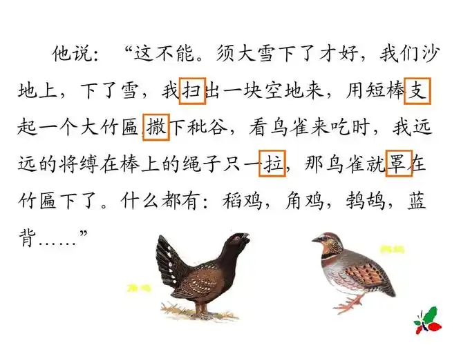 语文s版五年级下册第26课少年闰土ppt