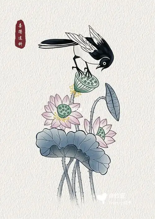 一只喜鹊落莲蓬上啄其颗粒果实喜得连科就是连连考中之意高考在即祝