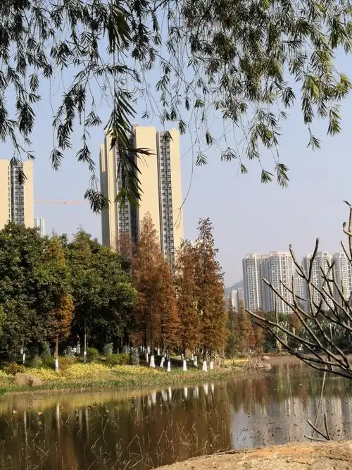 开心畅游黄埔区创新公园