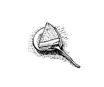 蛋糕,盘子,矢量,素描,卡通,插画,风格,隔绝,白色背景