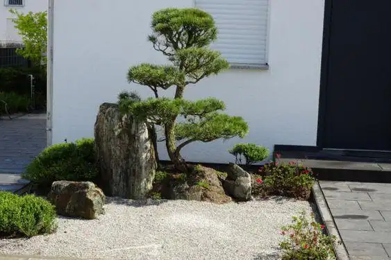 庭院摆石头有讲究,应该这样摆|园林|朝向|造景|乱石堆_网易订阅