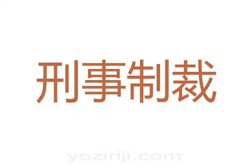 刑事制裁的意思解释_刑事制裁是什么意思-汉语词典