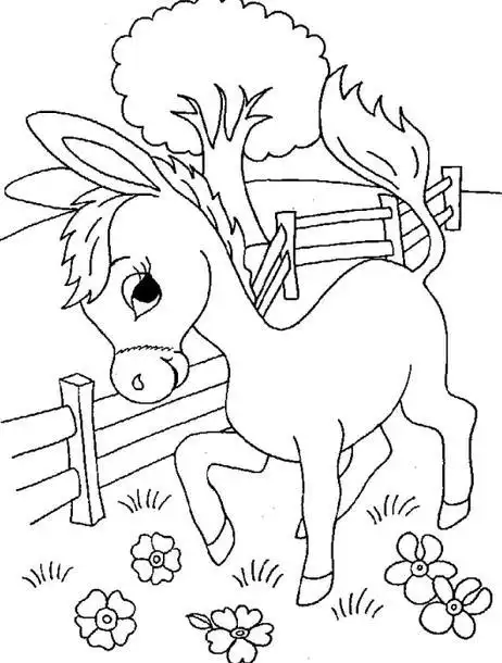 动植物简笔画图片大全