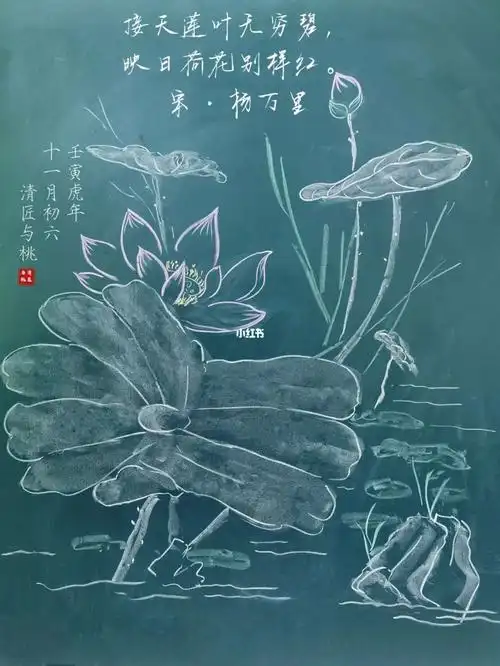 黑板粉笔画荷花