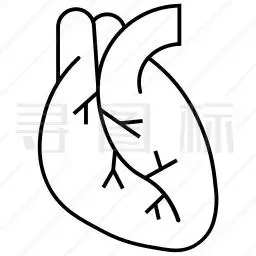心脏