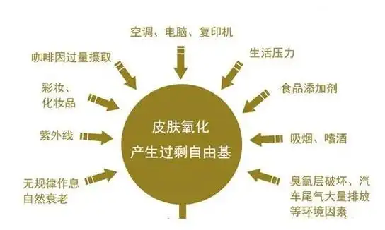 抗氧化是什么意思全面抗氧化指南