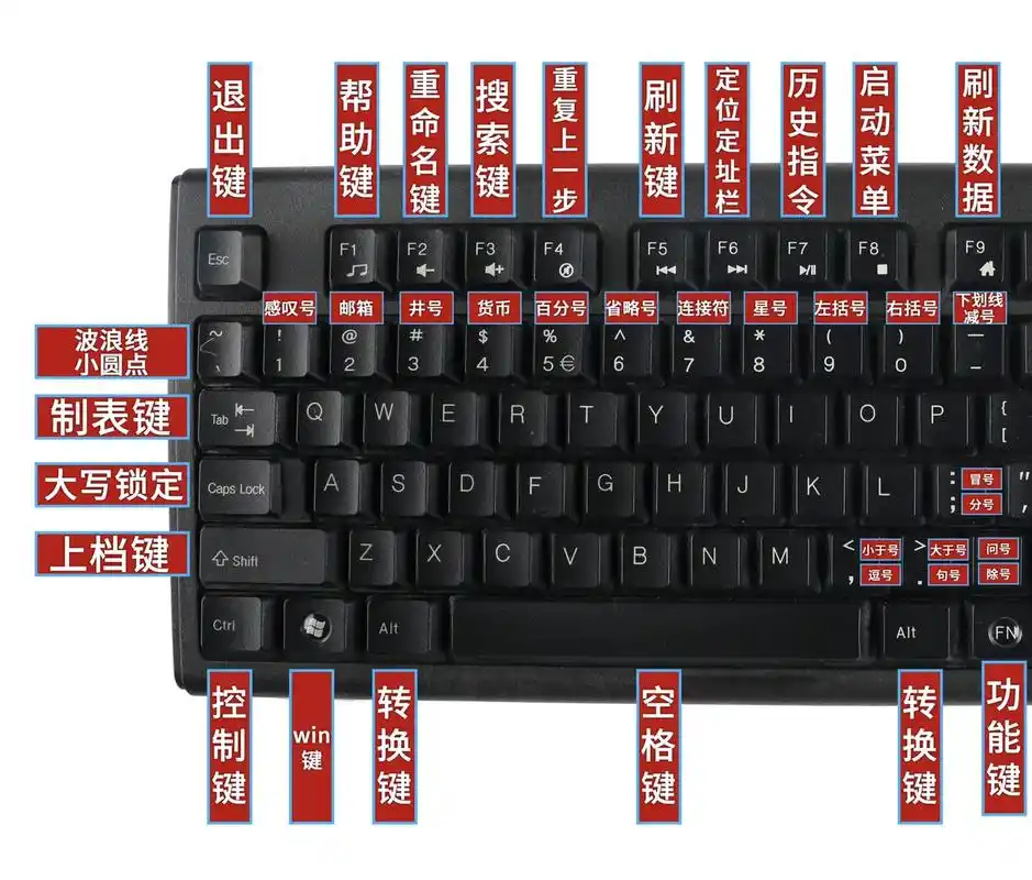 学电脑没有想象中的那么难,0基础从认识键盘开始,然后学打字,制表