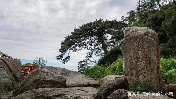 世界文化与自然双重遗产"泰山风景名胜区"