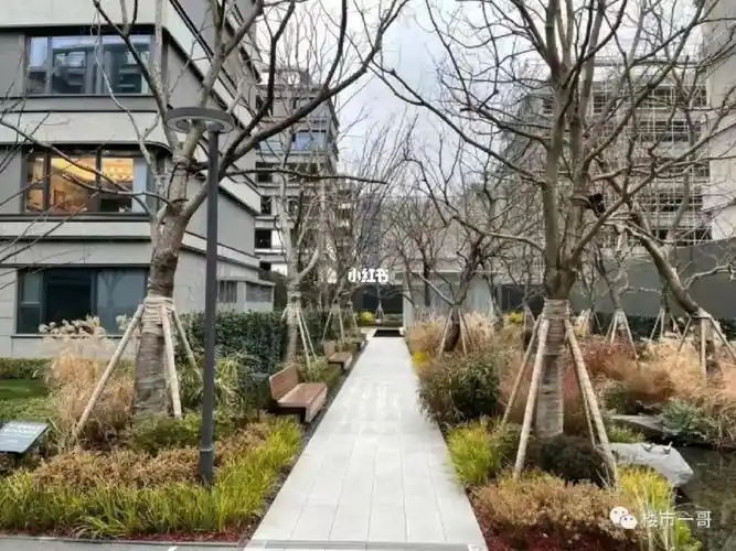 194房源,综合单价在57000左右#苏州楼市 #林溪雅苑 #林溪 #奥体林溪