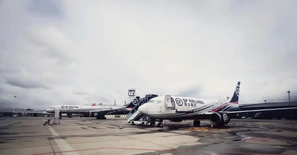 黔茶出山 顺丰"鲜"到|贵州省_新浪财经_新浪网