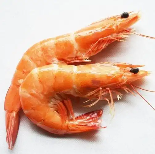 供应 熟虾5kg 带头熟虾