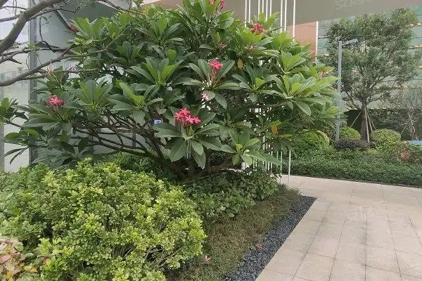 绿湖半岛花园,飞来南路-清远绿湖半岛花园二手房,租房-清远安居客