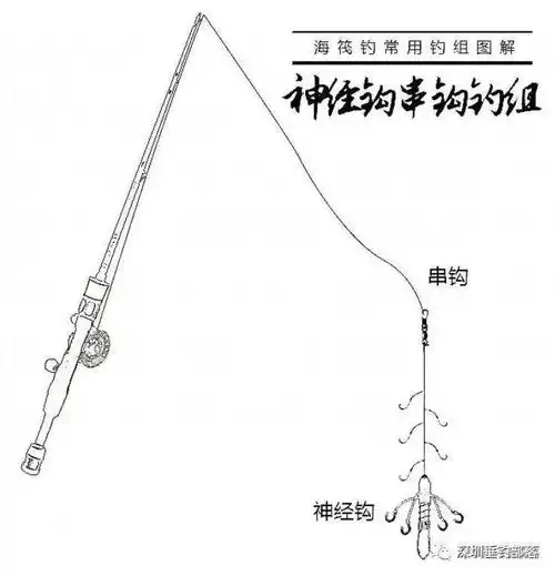 六月份"鱼乐无限"海钓活动回顾