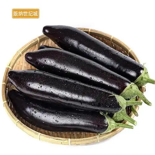 bn紫茄子500g