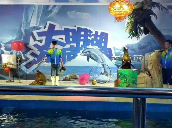 济南大明湖海底世界门票大明湖海洋馆电子门票大明湖海底门票拉近您与