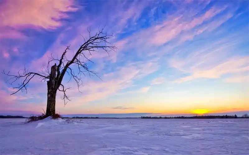 唯美冬季纯爱冰天雪地浪漫雪景自然风光桌面壁纸(一)
