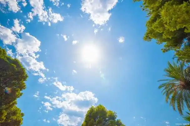 窗外的晨曦初放,那微光透过窗帘,柔嫩而含蓄,像是静静流过指尖的河水.