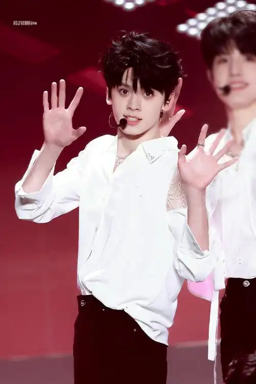 左航发财歌##左航新年音乐会舞台##波斯猫舞台#meow@tf家族-左航