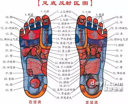 高清图解:足底反射,手法提升_足疗