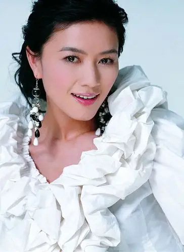 盘点老牌电视剧及主演 陈好张庭王艳嫁豪门(图)【16】