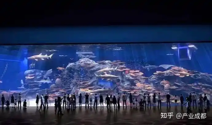 成都熊猫海洋世界开工成都人的海要三分天下了吗