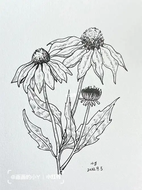 来自网图#中秋节  #绘画过程  #针管笔手绘  #我的绘画成长史  #线稿