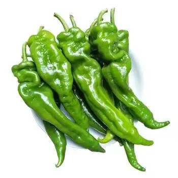 新鲜青辣椒微辣蔬菜虎皮尖椒花辣椒现摘现发1斤绿辣椒