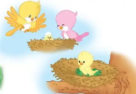 无法飞行的鸟的故事_亲亲宝贝网