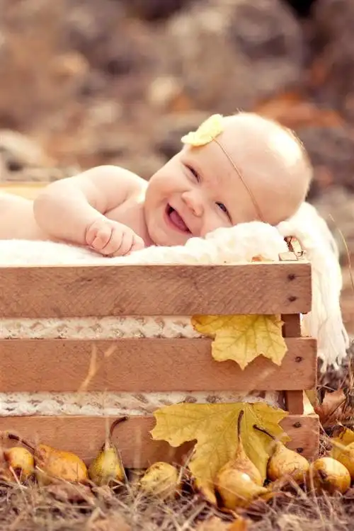 壁纸 可爱的小宝贝,盒子,梨 3840x2160 uhd 4k 高清壁纸, 图片, 照片