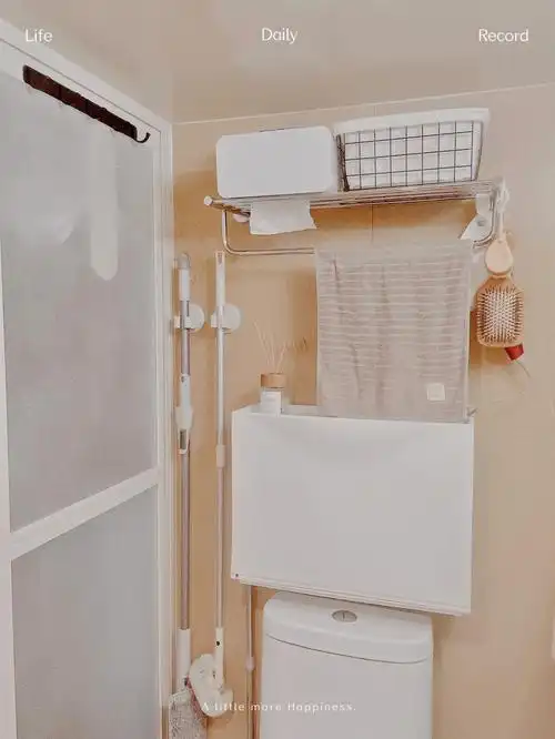 2平米卫生间我把杂物都扔进了这个鞋柜