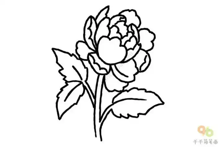 牡丹简笔画牡丹花简笔画