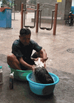 搞笑gif段子:你这是在用灵魂跳舞啊,太魔性了_儿子_前门_号码