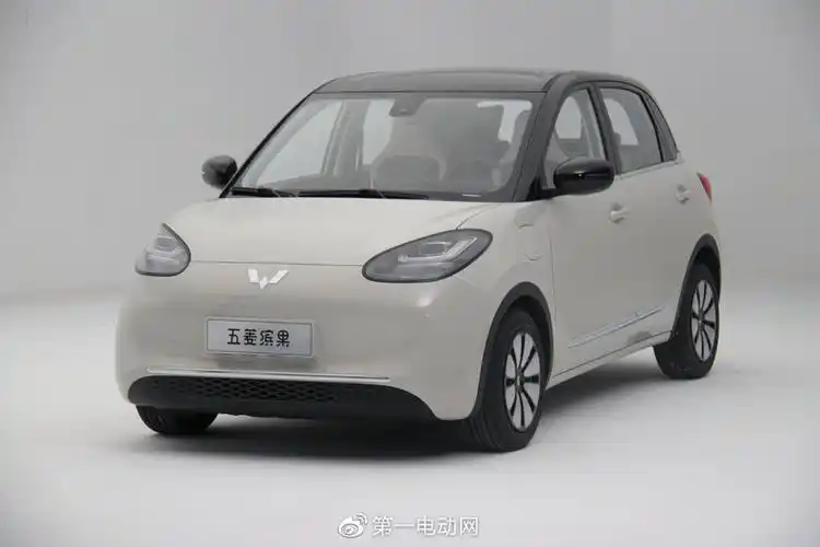 或6万元起售 "长轴版柳州特产"五菱缤果开启盲订