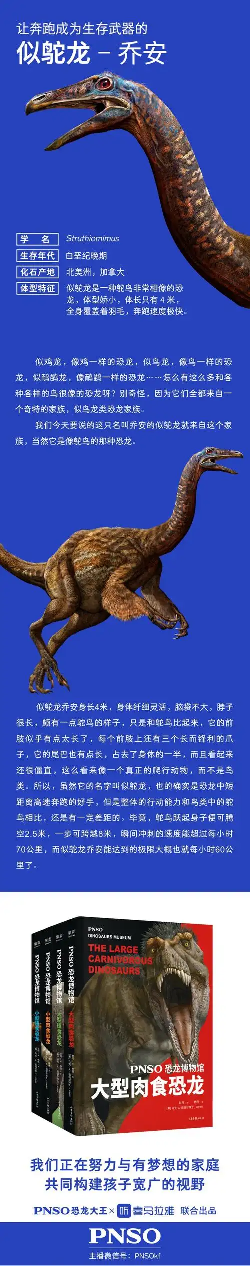 让奔跑成为生存武器的似鸵龙乔安