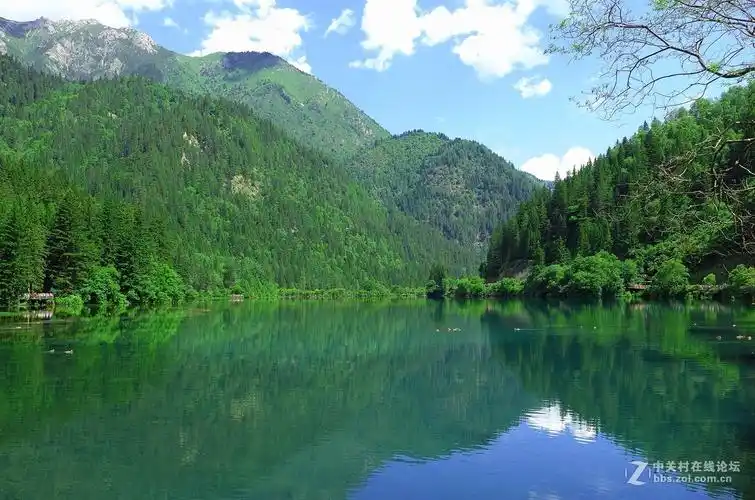 翠绿九寨