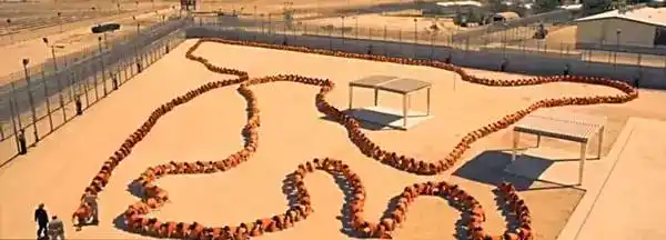 《人体蜈蚣3》告诉我们,恶心到开心只有一步之遥