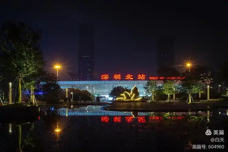 深圳北站中心公园夜景