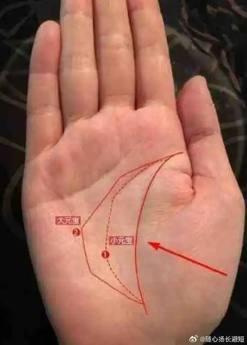 三种享福命的女人手纹