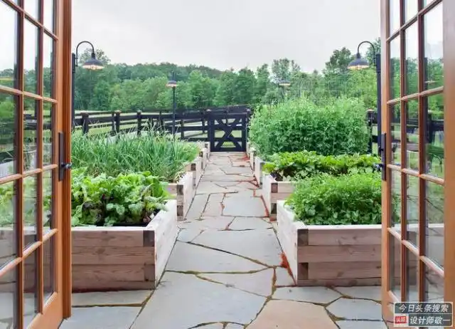 观赏性的菜园如何设计才能让庭院整体看来更美观看完记得收藏