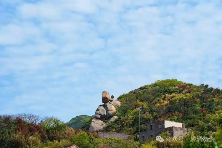 旅游_花鸟_洋山